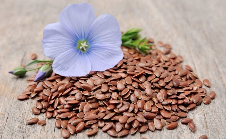 Linseed – Boost your winter feeding – Smart Horse Nutrition